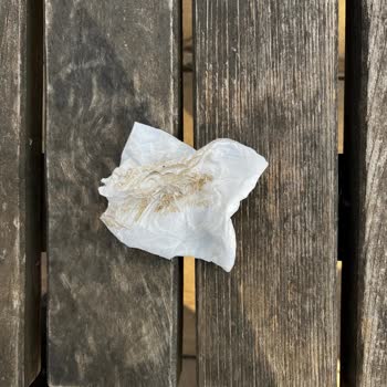 Millet Parkı'nda Yetersiz Yönlendirme Ve Eksik Hizmetler