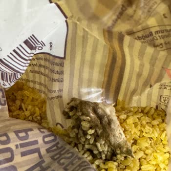 Küflü Bulgur Satışı Ve Tekrarlayan Sorunlar Hakkında Şikayet