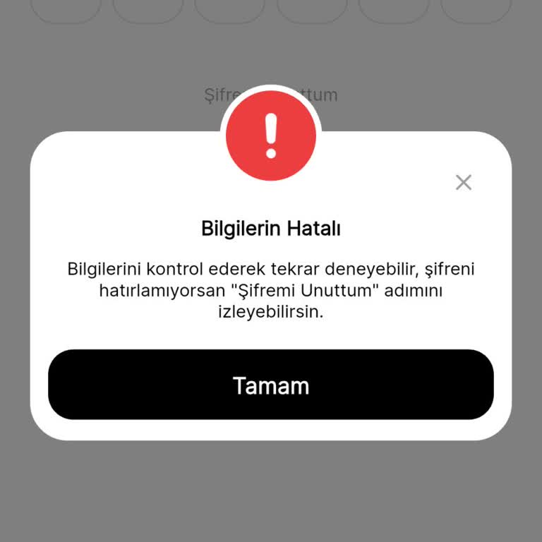 Hesabımın Bilgileri İzinsiz Değiştirildi, Erişim Sağlayamıyorum