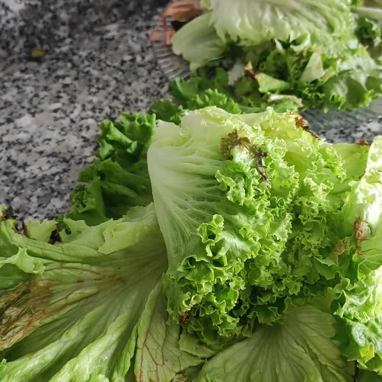 Şok Marketten Sürekli Bozuk Sebze Teslimatı Mağduriyeti