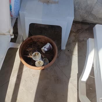 Bodrum Asr-ı Ala Otel'de Eksik Hizmet Ve Hijyen Sorunları