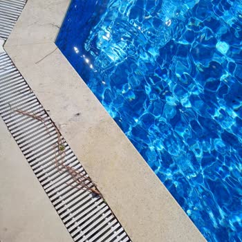 Bodrum Asr-ı Ala Otel'de Eksik Hizmet Ve Hijyen Sorunları