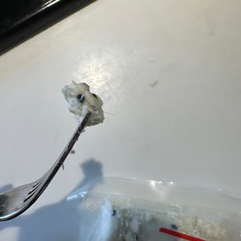 Aldığım Peynirin İçinden Kıl Çıktı, Sağlığım Tehlikede!