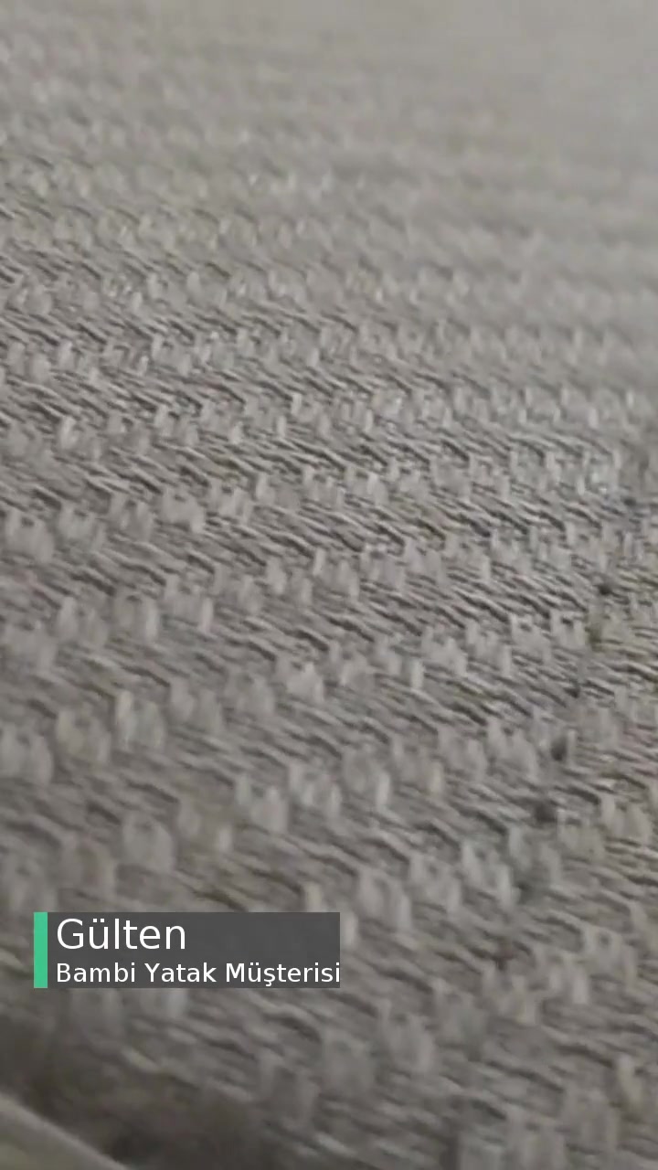 Bambi Baza Kalitesizliği videonun kapak resmi