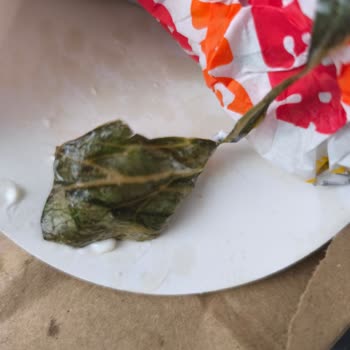 Küflenmiş Marul Ve Çiğ Köfteyle Gelen Sağlık Riski: Yetersiz Çözüm