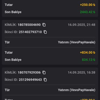 Vipslot Yatırım Bonusum Gerekçesiz Şekilde Yüklenmedi