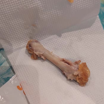 Hamburgerde Kemikli Et Çıkması Nedeniyle Sağlığım Tehlikeye Girdi, Ücret İadesi Talep Ediyorum