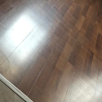 Roborock S8 Süpürge Toz Çekmiyor Ve Servis Desteği Yetersiz