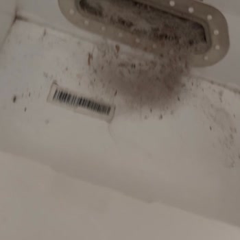 Roborock S8 Süpürge Toz Çekmiyor Ve Servis Desteği Yetersiz