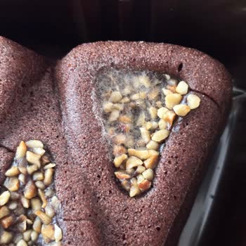 Son Kullanma Tarihi Geçmemiş Kekte Küf Sorunu Yaşadım