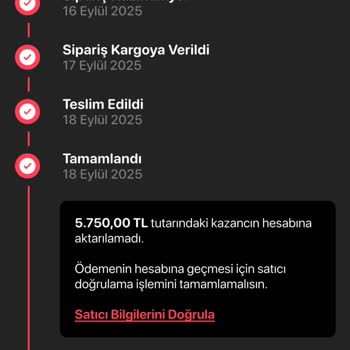 Letgo Güvenli Ödeme Sorunu: Satış Ücretimi Alamıyorum