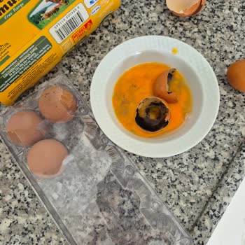 BİM'den Alınan Yumurtalar Bozuk Çıktı, Sağlığımız Tehlikeye Girdi