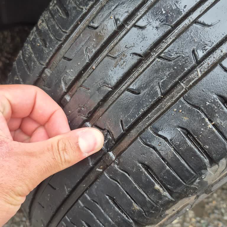 Ford Focus Araçta Lastik Sorunu Ve Yetersiz Servis Desteği Nedeniyle Güvenlik Endişesi