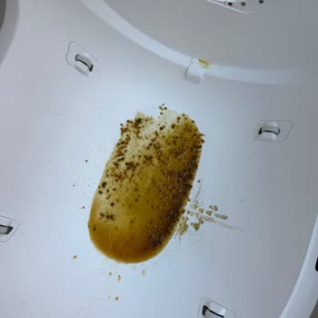 Xiaomi Petkit Pro Max 2 Smart Toilet Is Leaking