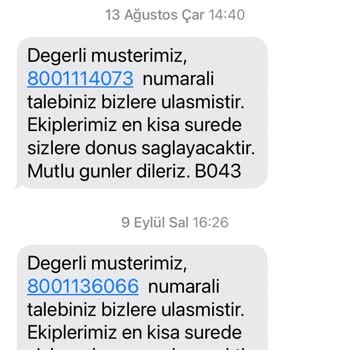 Farklı Berjer Teslimatı Ve Servis Desteği Sorunu