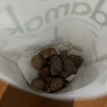 Bozuk Çikolata Nedeniyle Yaşanan Sağlık Sorunu Ve Mağduriyet