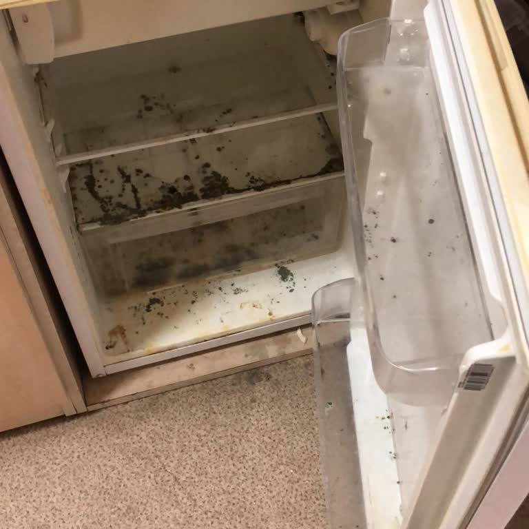 Kayıtlı Olduğum Yurttan Habersiz Taşınma Ve Oda Koşullarının Kötüleşmesi