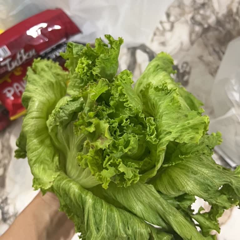 Aldığım Marul Hem Çürük Hem De Çok Küçük Çıktı