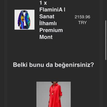 Aleyna İstanbul Sitesinden Satın Aldığım Kaban Teslim Edilmedi, İletişim Kurulamıyor Ve Ücret İadesi Yapılmıyor