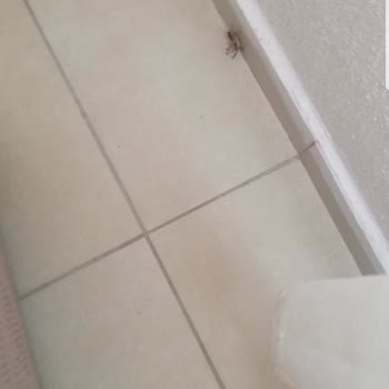 Yanıltıcı Mesafe Bilgisi Ve Eksik Temizlik Nedeniyle Mağduriyet