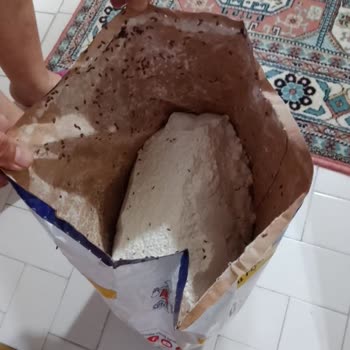 Sinangil Gıda Son Kullanma Tarihi Geçmemiş Unda Böceklenme Sorunu