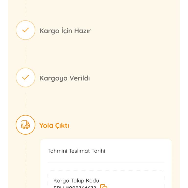 Evdeyken Teslim Edilmeden İade Edilen Sipariş Ve İade Sorunu