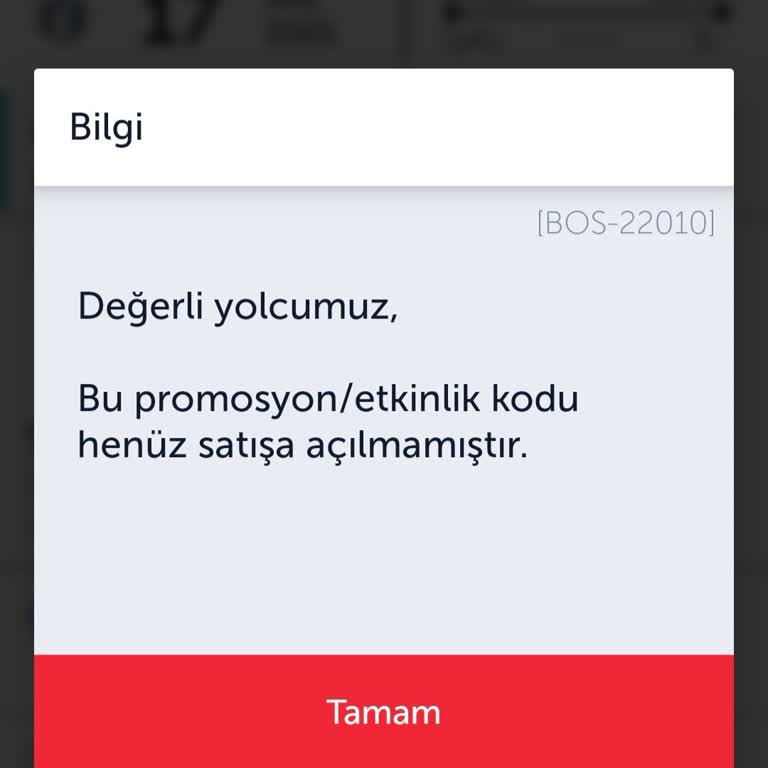 THY Mil İndirimli Bilet Kampanyasında Sistemsel Hata Ve Yetersiz Çözüm