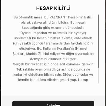 Valorant Hesabım Haksız Yere Banlandı, Mağduriyetim Giderilsin!