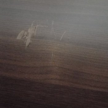 Taşıma Sırasında Eşyalarım Zarar Gördü, Firma Mağduriyetimi Gidermedi