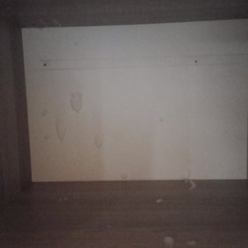 Taşıma Sırasında Eşyalarım Zarar Gördü, Firma Mağduriyetimi Gidermedi