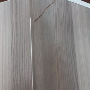 Taşıma Sırasında Eşyalarım Zarar Gördü, Firma Mağduriyetimi Gidermedi