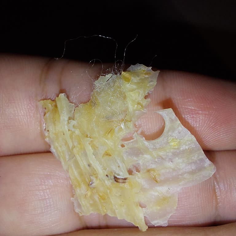 Tarhana Cipsinin İçinden Tüy Yumağı Çıktı, Açıklama Ve Çözüm Bekliyorum