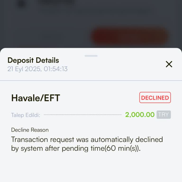 Betorspin Hesabıma Yatırdığım 2.000 TL Bakiyeye Yansımadı, Müşteri Hizmetlerinden Destek Alamıyorum