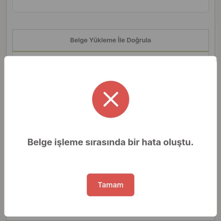 TEV Burs Başvuru Sisteminde Belge Yükleme Ve Belge Türü Sorunu Yaşıyorum