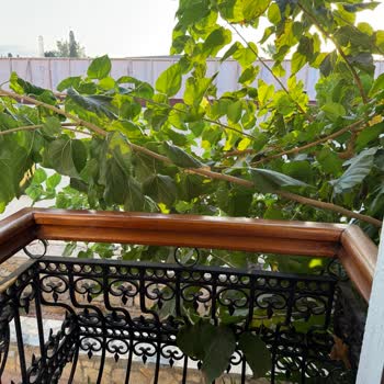 Oda Temizliği Ve Hizmet Eksikliği Tatilimi Mahvetti