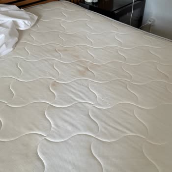 Oda Temizliği Ve Hizmet Eksikliği Tatilimi Mahvetti