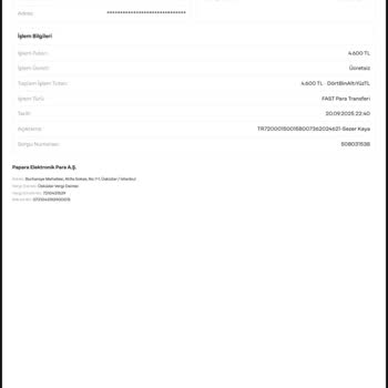 Papara İle Yatırdığım Para Mobilbahis Hesabıma Geçmedi, Mağduriyet Yaşıyorum