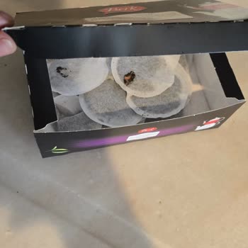 BİM’den Alınan Çayda Solucan Çıkması Ve Müşteri Hizmetlerinden Yanıt Alamama