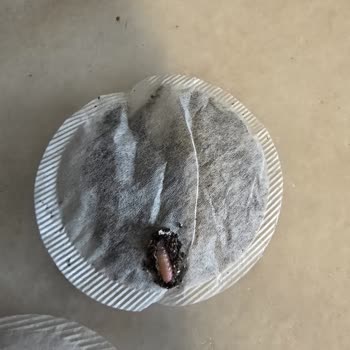 Aldığım Çayın İçinden Solucan Çıktı, Hijyen Endişesi Yaşıyorum