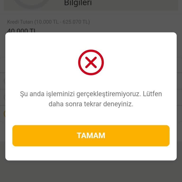 Kredi Başvurusu Son Adımda Sürekli Hata Veriyor, Çözüm Bekliyorum