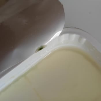 Süzme Peynirde Küflenme Şikayeti