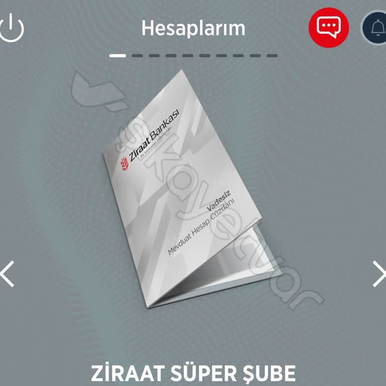 Portföyümün Başka Şubeye Aktarımı İçin Çözüm Bulamıyorum