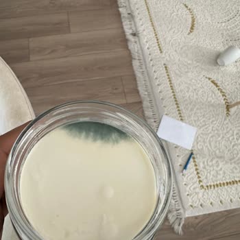 Açılmamış Kaanlar Krem Peynirde Küf Şoku Ve Hayal Kırıklığı