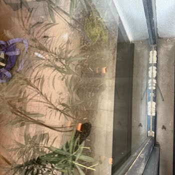 Eksik Personel Ve Yetersiz Temizlik: Aldığım Hizmet Hayal Kırıklığı Yarattı