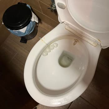 Kızlar Manastırı’nda Temizlik Eksikliği Ve Düğün Fotoğrafçılarının Ziyaretçi Deneyimini Olumsuz Etkilemesi