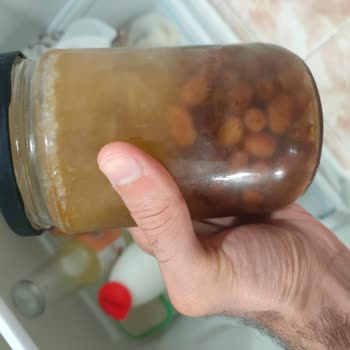 Buzdolabındaki Donma Sorunu İçin Bosch Ve Media Markt’tan Kalıcı Çözüm Bekliyorum