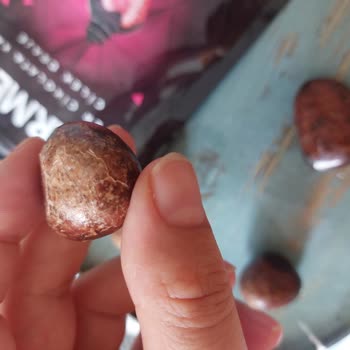 Taze Alınan Çikolata Draje Bozuk Çıktı Hayal Kırıklığı Yaşadım