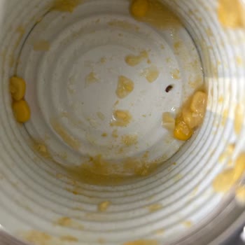 Konserve Mısırdan Böcek Çıkması: Sağlığımız Tehdit Altında!