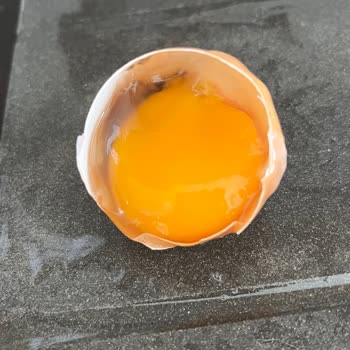 Son Kullanma Tarihi Geçmemiş Yumurtaların Küflü Ve Bozuk Çıkması