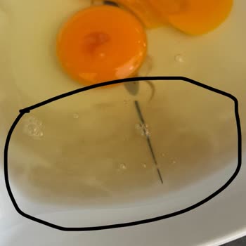 Son Kullanma Tarihi Geçmemiş Yumurtaların Küflü Ve Bozuk Çıkması